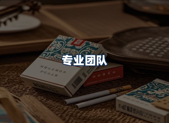专业团队